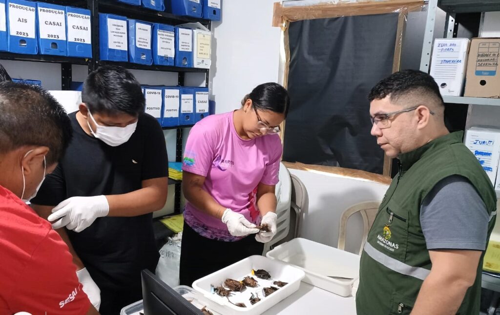 Foto: Reprodução/Agência Amazonas