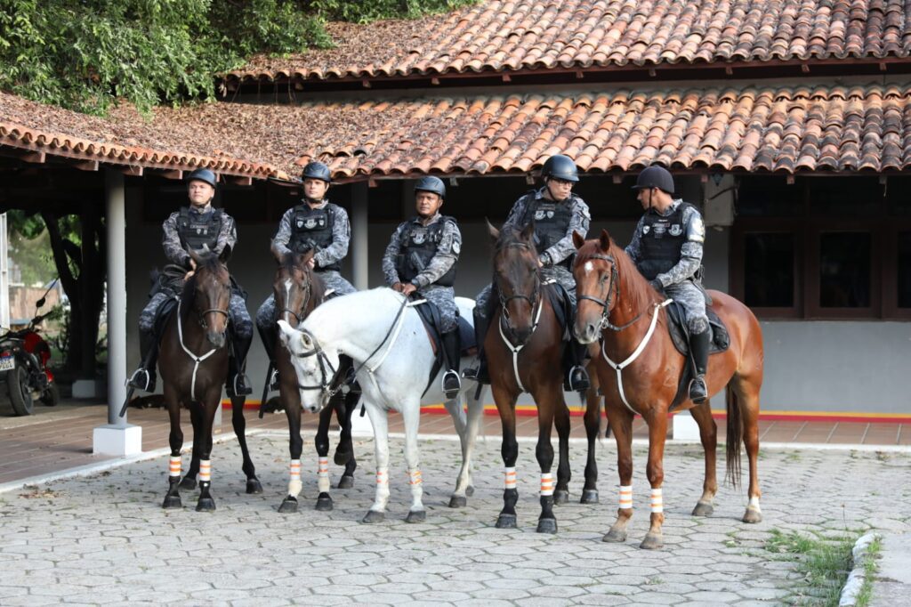 Foto: Reprodução/Agência Amazonas