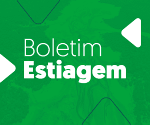 Governo do Amazonas divulga boletim sobre a estiagem no estado, neste domingo (24/11)