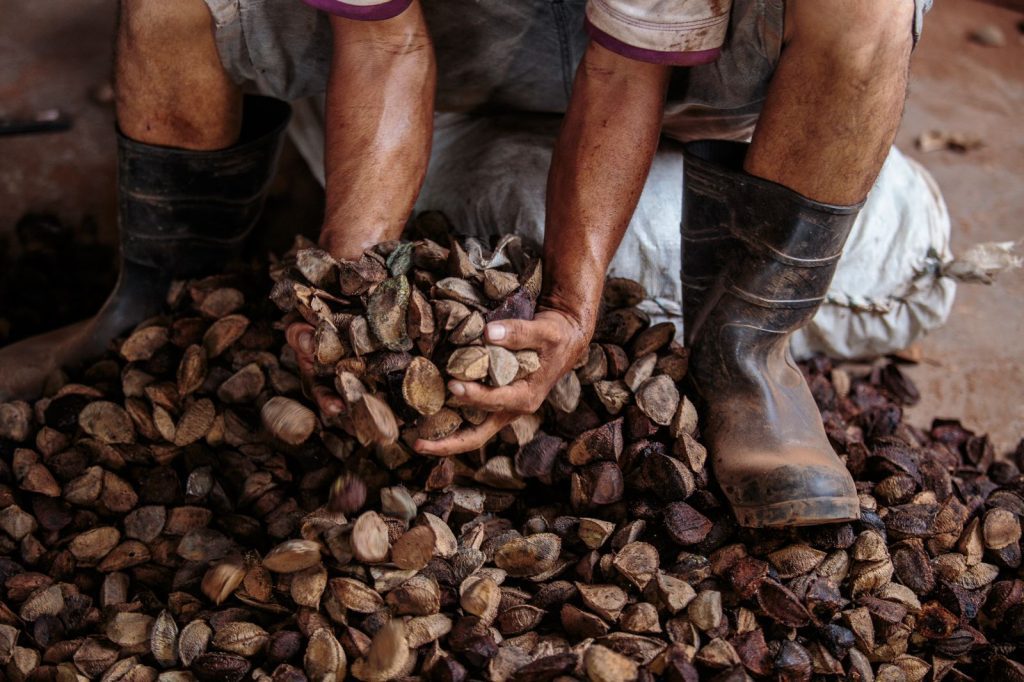 Foto: Reprodução/Agência Amazonas