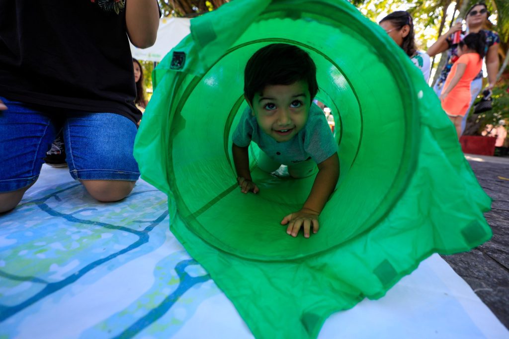 Foto: Reprodução/Agência Amazonas