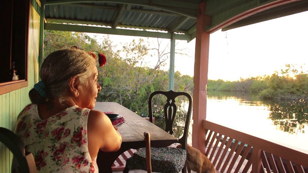 Foto: Reprodução/Agência Amazonas