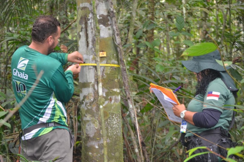 Foto: Reprodução/Agência Amazonas