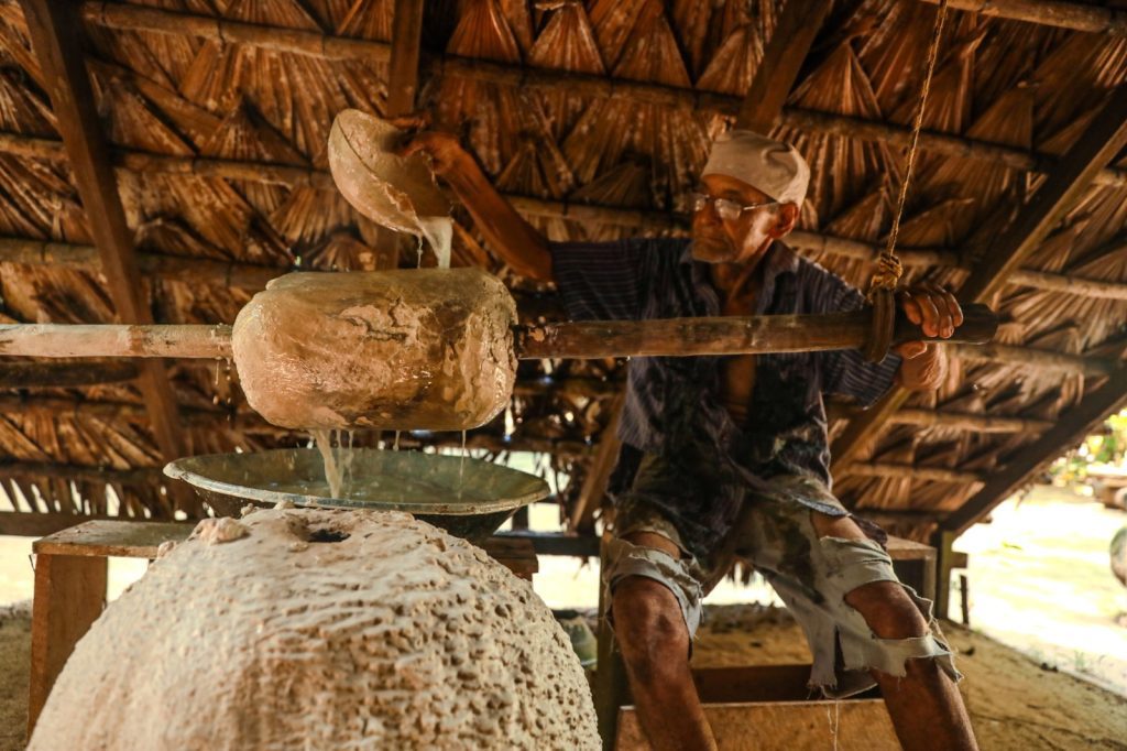 Foto: Reprodução/Agência Amazonas