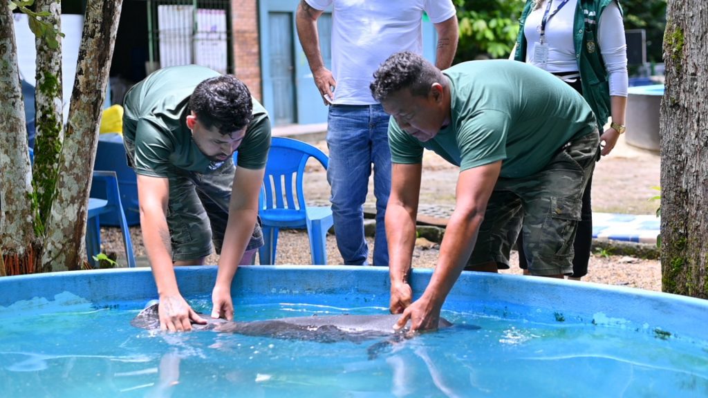 Foto: Reprodução/Agência Amazonas