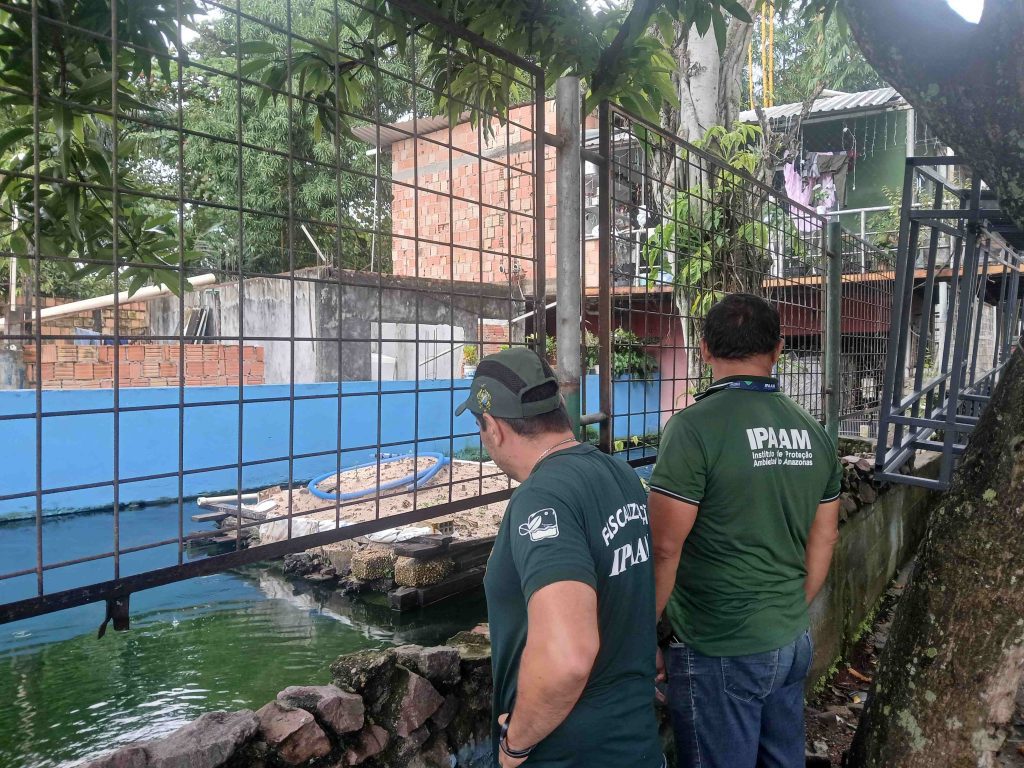 Foto: Reprodução/Agência Amazonas