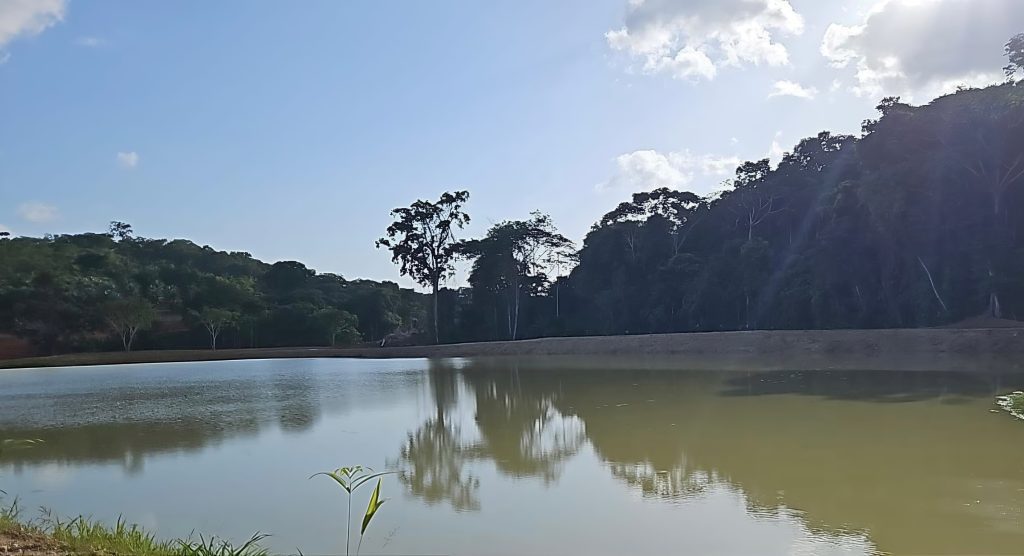 Foto: Reprodução/Agência Amazonas