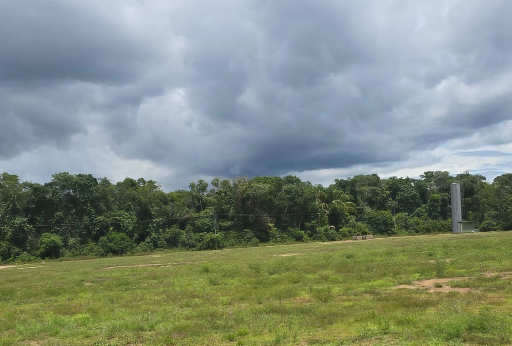 Foto: Reprodução/Agência Amazonas