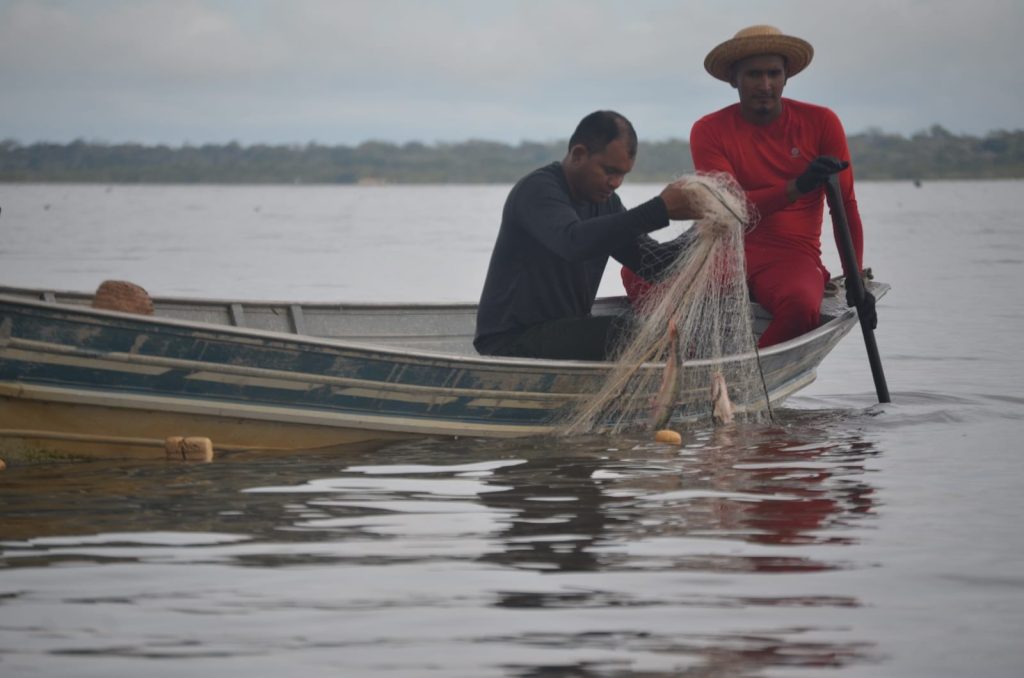 Foto: Reprodução/Agência Amazonas