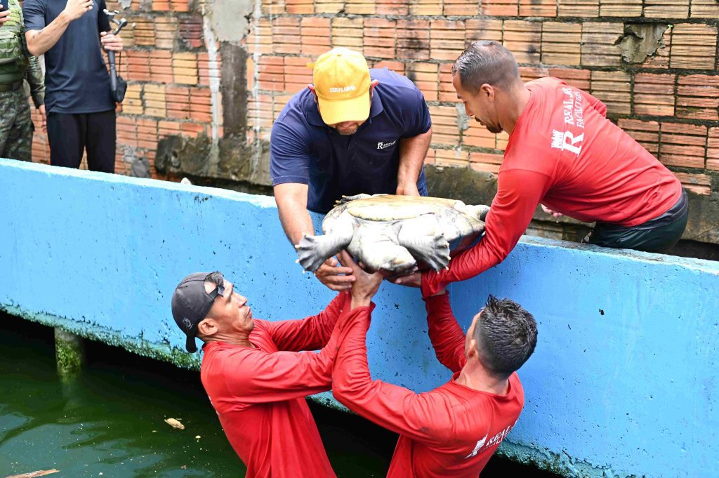 Foto: Reprodução/Agência Amazonas