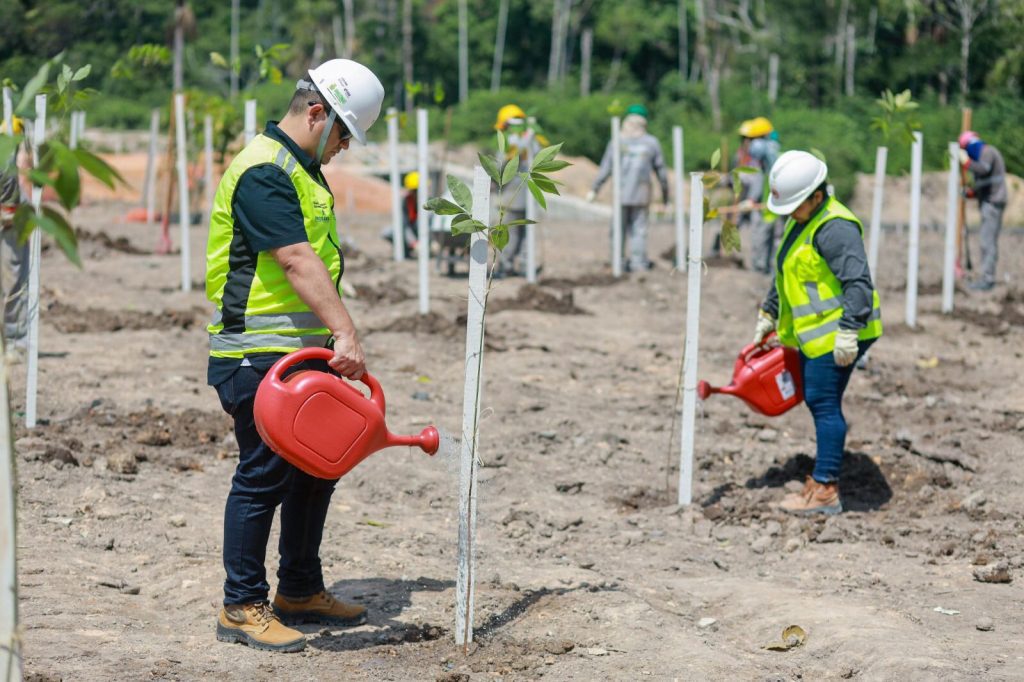 Foto: Reprodução/Agência Amazonas